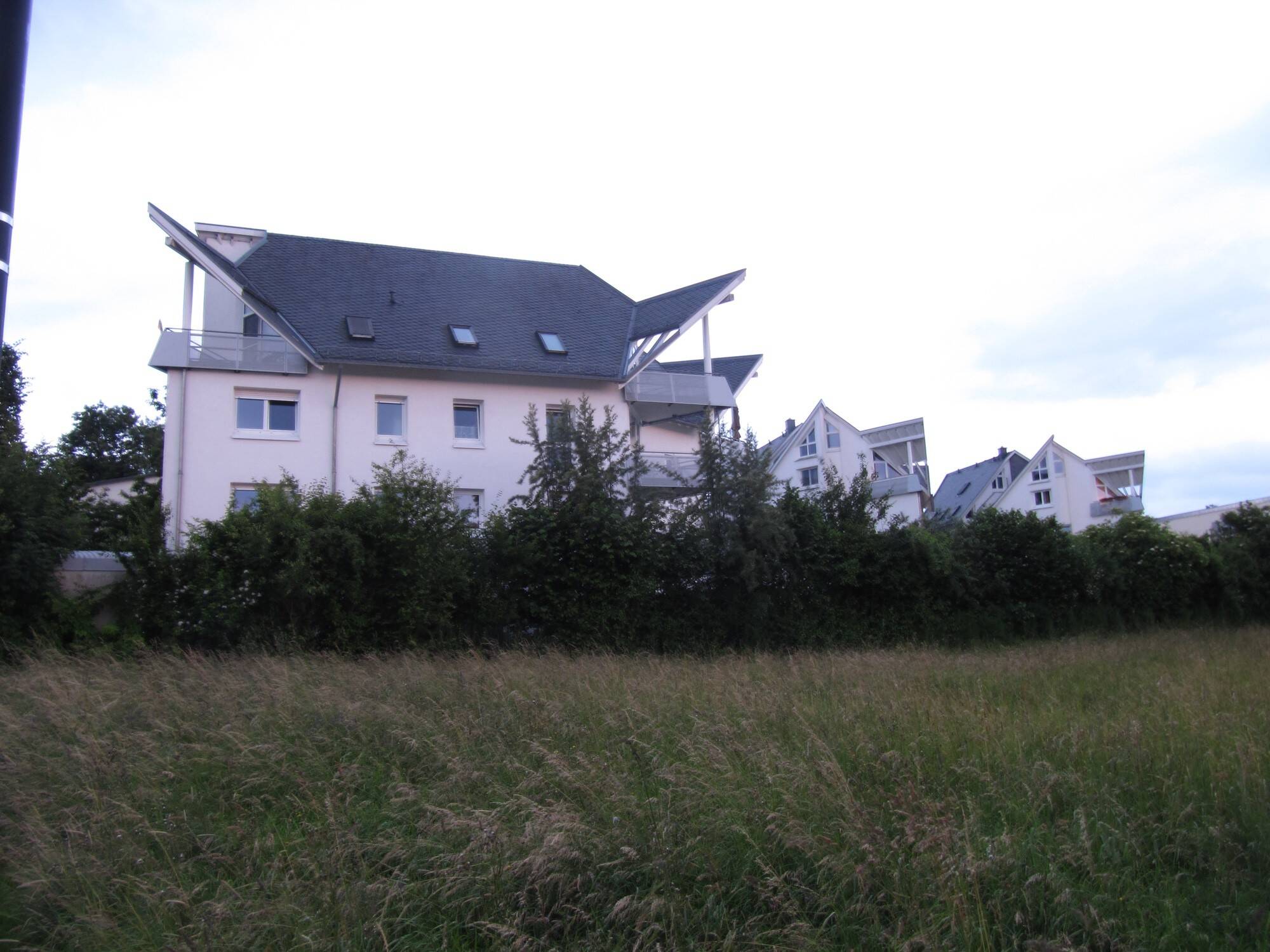 IMG 0824